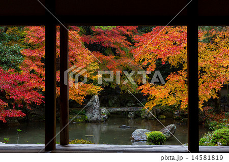 蓮華寺の紅葉 14581819