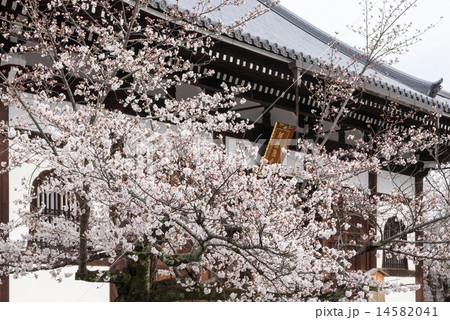 くろ谷 金戒光明寺 阿弥陀堂 くろ谷 金戒光明寺 阿弥陀堂 14582041