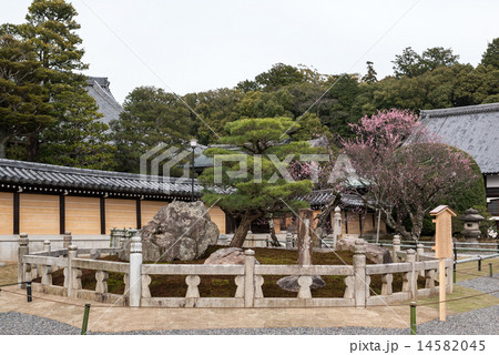 くろ谷　金戒光明寺　熊谷直実鎧掛けの松 14582045