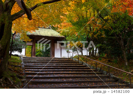 安楽寺の紅葉 安楽寺の紅葉 14582100