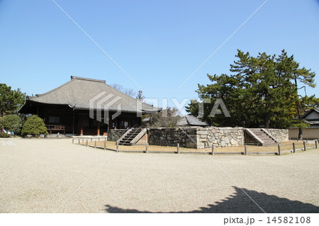 西大寺の本堂と東塔跡 14582108