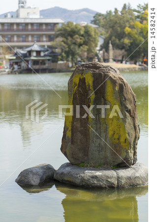 猿沢池の石碑 14582414