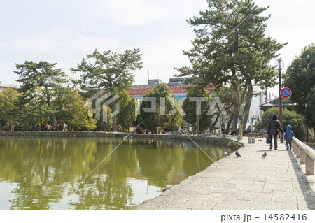 猿沢池 猿沢池 14582416