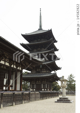 興福寺の東金堂と五重塔 14582922