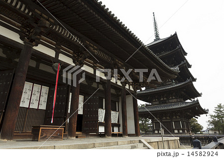 興福寺の東金堂と五重塔 14582924