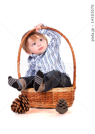 baby in a basket isolated on a white background 14583070