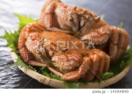 笊の上の毛蟹 14584840