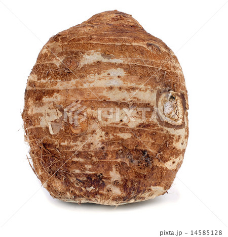taro corm 14585128