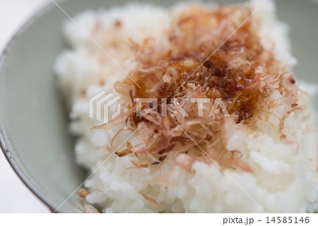 ねこまんま ねこまんま 14585146