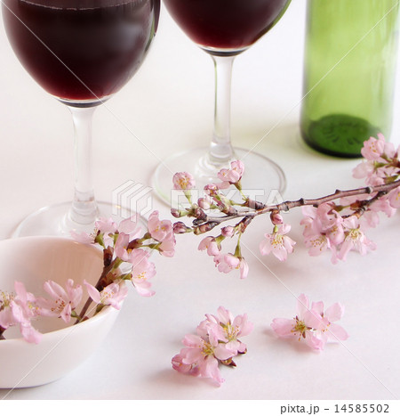 ワイングラスと桜 ワイングラスと桜 14585502