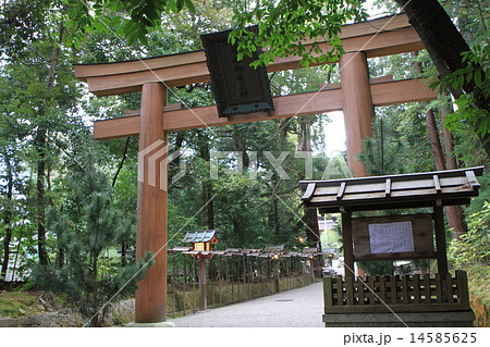 石上神宮 14585625