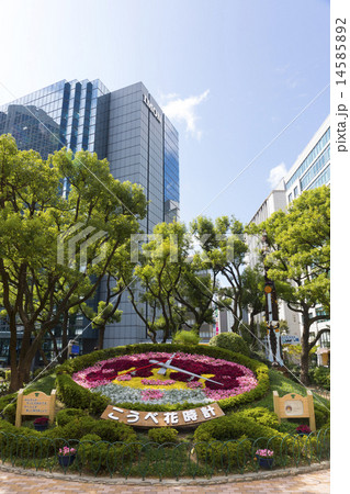 こうべ花時計 こうべ花時計 14585892