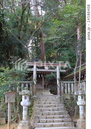 石上神宮 14586408