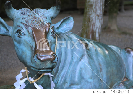 石上神宮 14586411