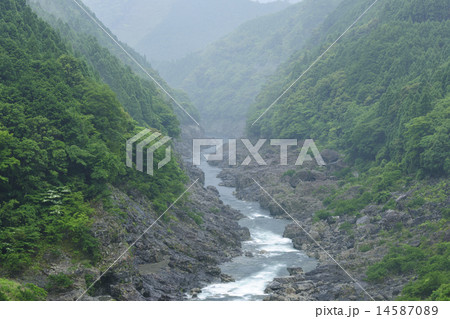 雨の渓谷／和歌山県 北山村 14587089