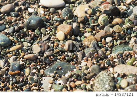 Sea pebble Sea pebble 14587121