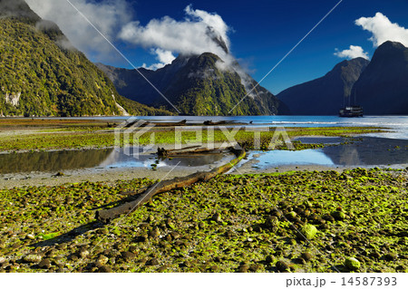Milford Sound, New Zealand 14587393