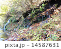 湧水 14587631