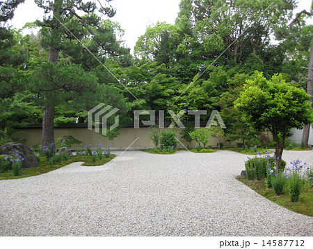 廬山寺の庭園 14587712
