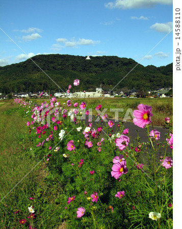 福岡県嘉麻市の一夜城(益富城跡) 福岡県嘉麻市の一夜城(益富城跡) 14588110