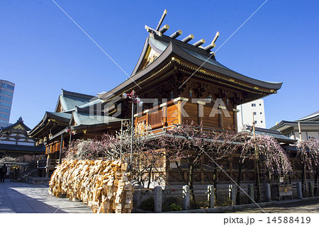 湯島天神の絵馬 14588419