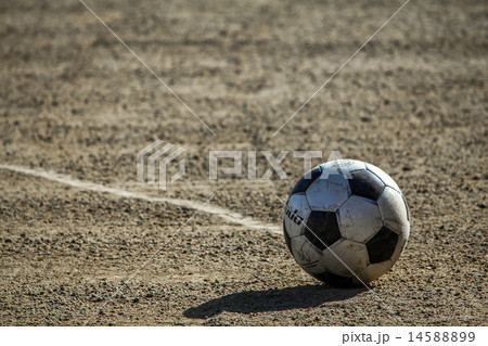 高校サッカー 14588899