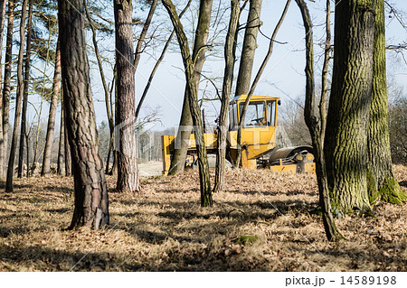 Wide shot of the vintage road roller Wide shot of the vintage road roller 14589198
