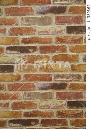 レンガタイル 14589366
