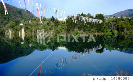 鯉のぼり 14590099