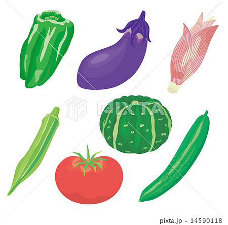 夏野菜 01のイラスト素材 14590118 Pixta