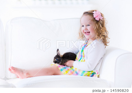 Little girl playing with a rabbit Little girl playing with a rabbit 14590820