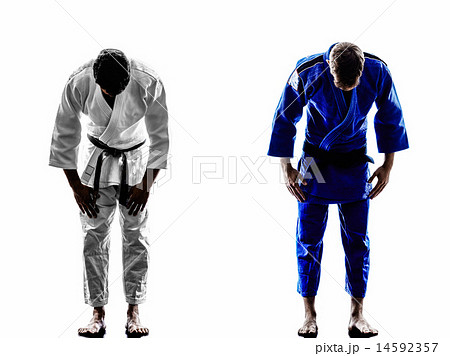judokas fighters fighting men silhouette 14592357