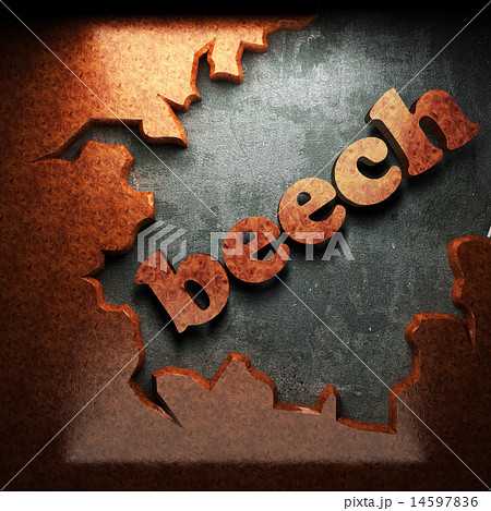 beech word of wood 14597836