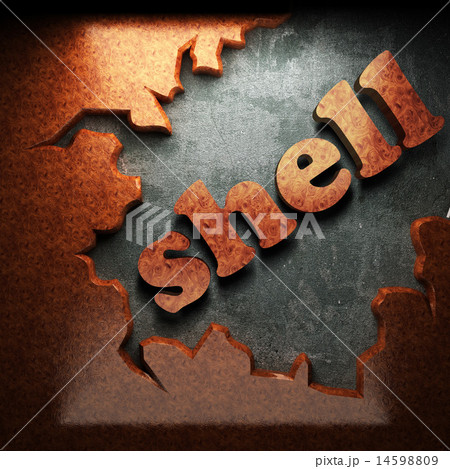 shell vector word of wood 14598809