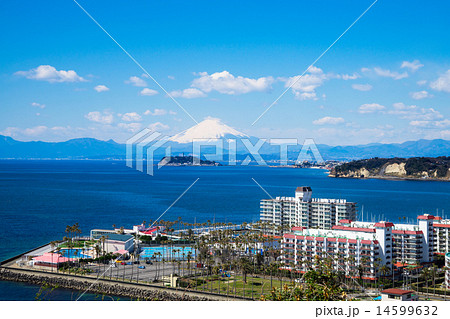 富士山 江ノ島 逗子マリーナ 富士山 江ノ島 逗子マリーナ 14599632