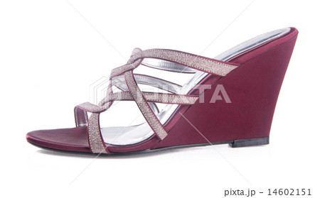 shoe. woman sandal on a background 14602151