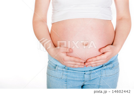 Belly of a pregnant woman on a white background 14602442
