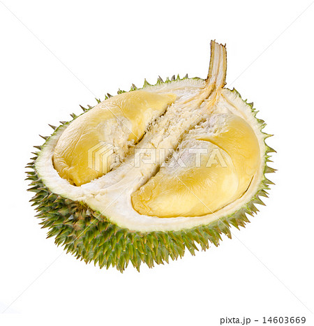 Shell Husk Of The Prized Durian Fruit の写真素材 Shell Husk Of The Prized Durian Fruit の写真素材