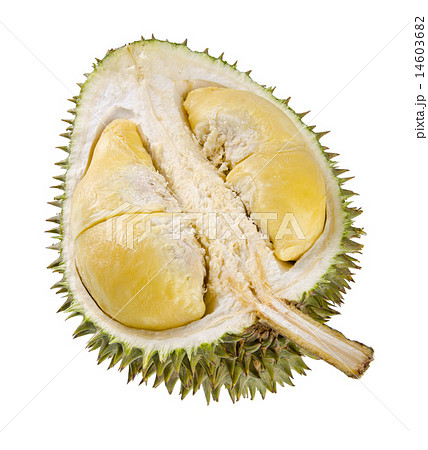 Shell (husk) of the prized durian fruit. 14603682