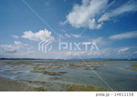 海中道路から見た金武湾 14611158