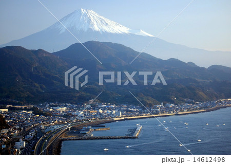 シラス漁と富士山 14612498