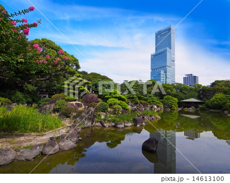 あべのハルカスと日本庭園 あべのハルカスと日本庭園 14613100