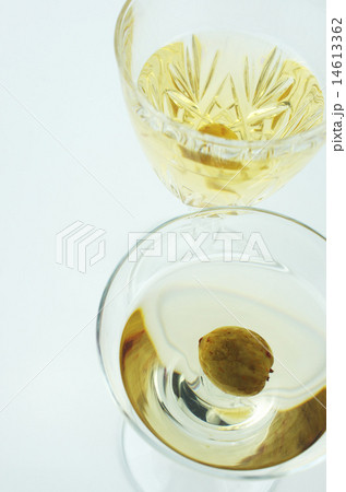 疲労回復にサルナシ酒 疲労回復にサルナシ酒 14613362