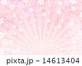 桜 14613404