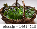 かごに入ったスペアミント 14614218
