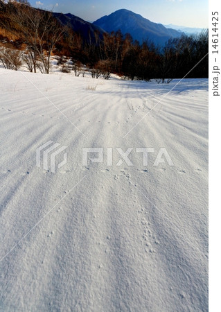 南大菩薩・大蔵高丸付近の雪原と雁ヶ腹摺山 南大菩薩・大蔵高丸付近の雪原と雁ヶ腹摺山 14614425