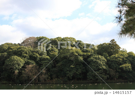 祟神天皇陵 14615157