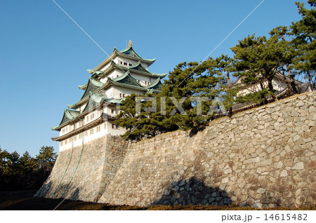 名古屋城 復元天守と本丸石垣 名古屋城 復元天守と本丸石垣 14615482