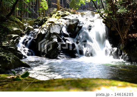 保永の滝 14616285