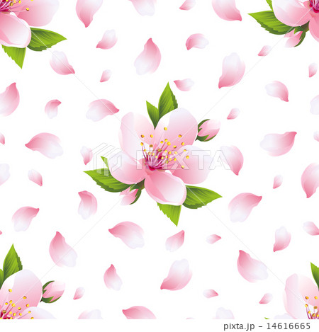 Seamless pattern with sakura blossom and petals Seamless pattern with sakura blossom and petals 14616665